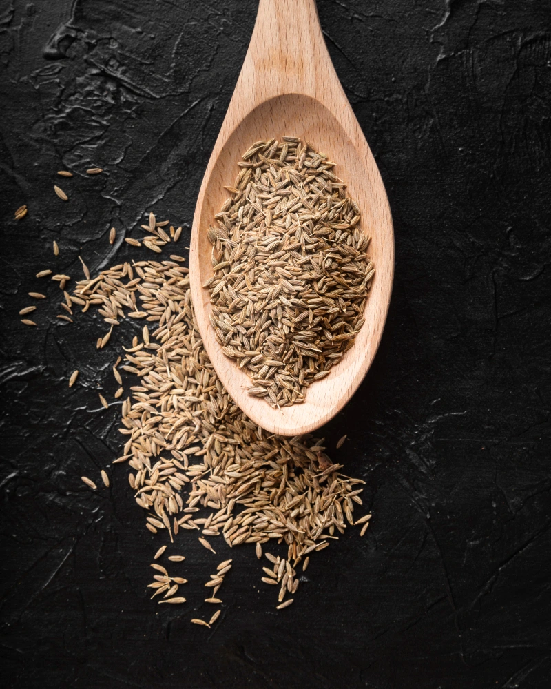 Cumin seeds spice export
